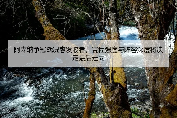 a-sen-na-zheng-guan-zhan-kuang-yu-fa-jiao-zhuo-sai-cheng-qiang-du-yu-zhen-rong-shen-du-jiang-jue-ding-zui-hou-zou-xiang-2-347.jpg