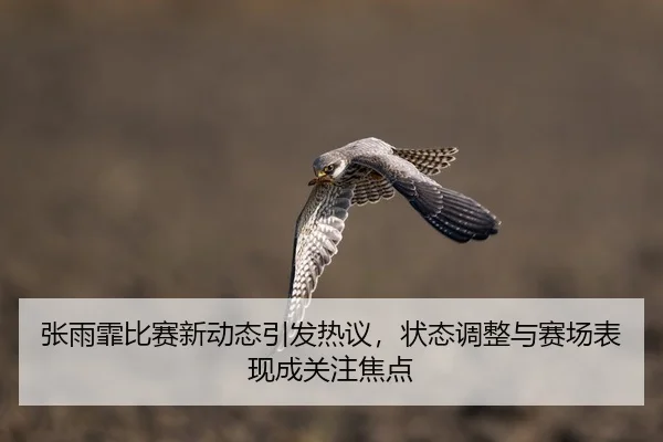 张雨霏比赛新动态引发热议，状态调整与赛场表现成关注焦点