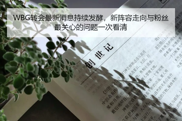 WBG转会最新消息持续发酵，新阵容走向与粉丝最关心的问题一次看清