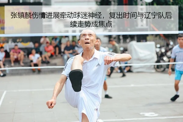 张镇麟伤情进展牵动球迷神经，复出时间与辽宁队后续走势成焦点